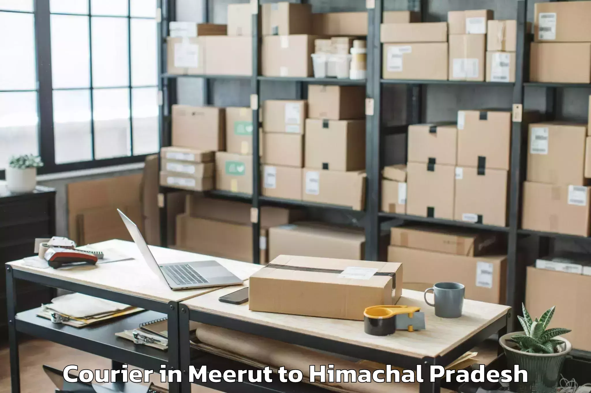 Quality Meerut to Jawali Courier